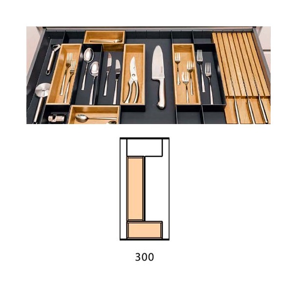 Ensemble Open System 300